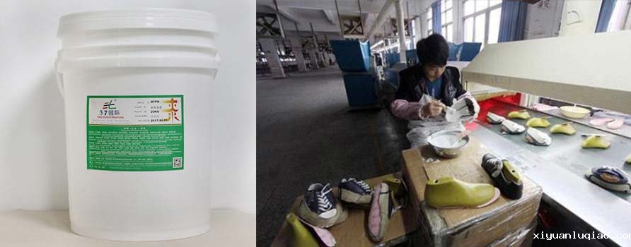 星空体育登录入口官网